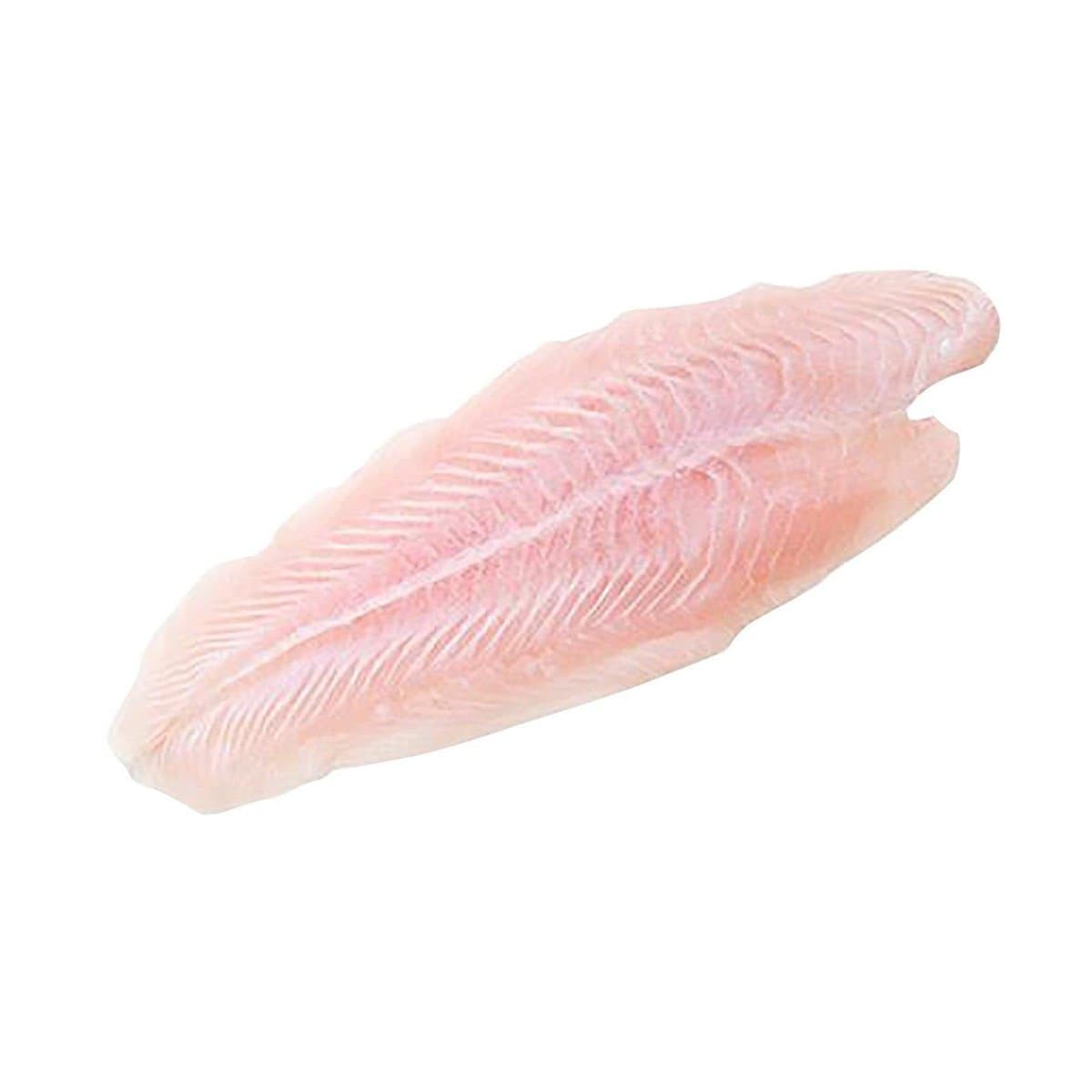 Filete De Tilapia Fresco Por Libras Filete De Tilapia Fresco Por Libras