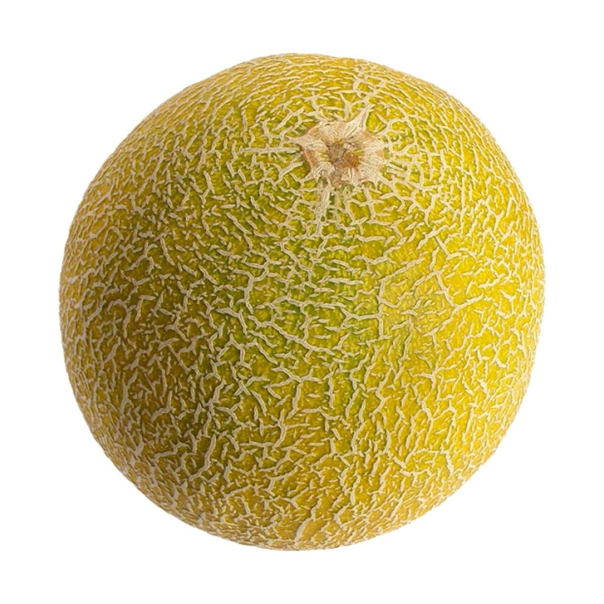 Melón Tropical 1 ud Melón Tropical 1 ud