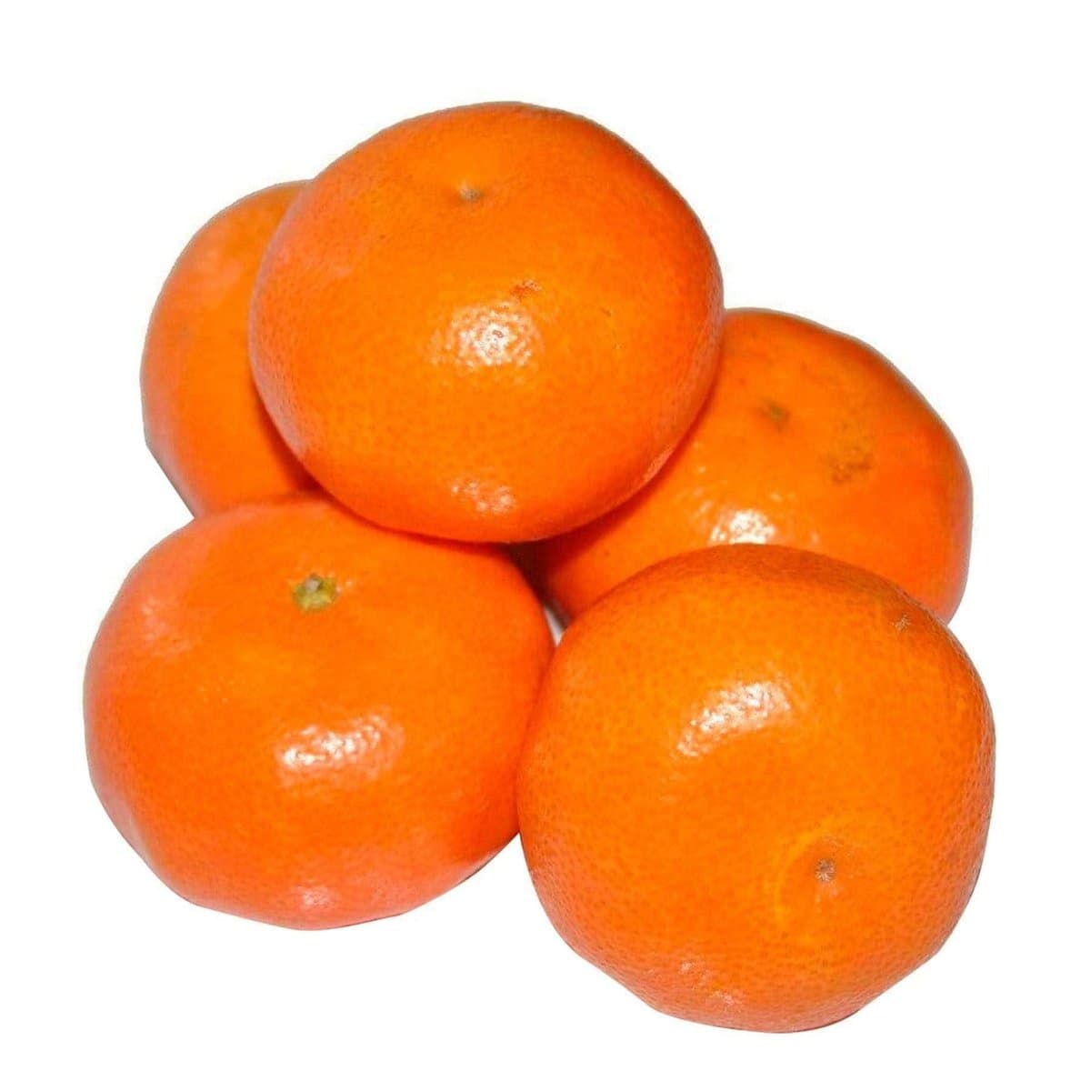 Mandarina Por Libras Mandarina Por Libras